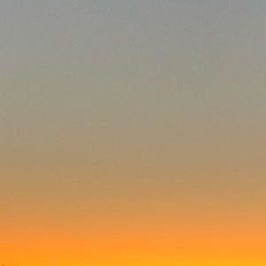 Meet your Posher, Brady